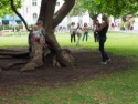 A woman takes a picture of little kids on a tree